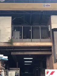1 North Coast (D25), Factory #565781911
